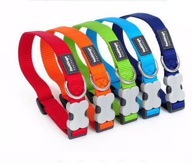 Golden Retriever Colored Collar