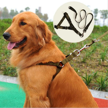 Big Size Golden Retriever Harness