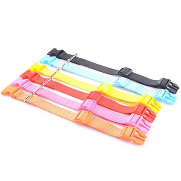 Durable Nylon Dog Collar