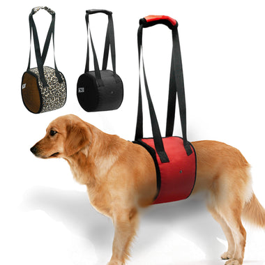 Dog Lift Support Harness