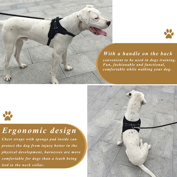 Padded Chest Strap Harness