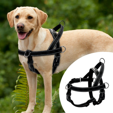 Reflective Quick Fit Harness