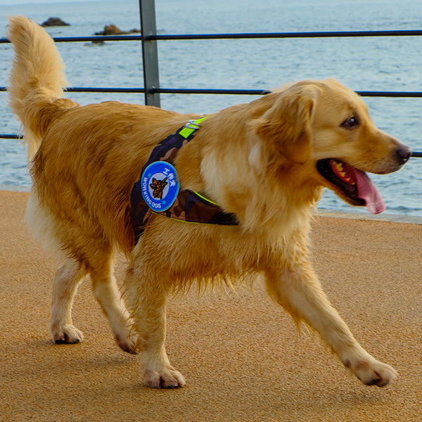 Drawstring Walking Harness Vest