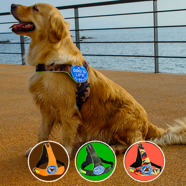 Drawstring Walking Harness Vest